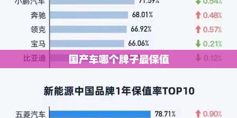 国产车哪个牌子最保值