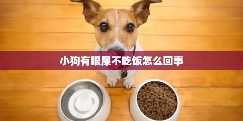 小狗有眼屎不吃饭怎么回事