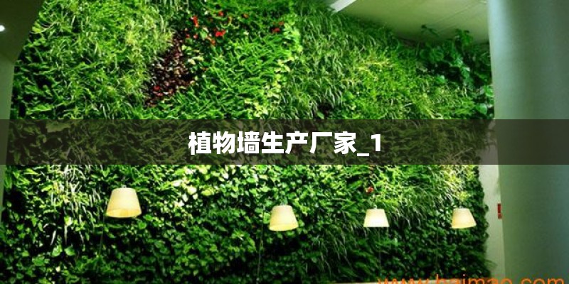 植物墙生产厂家_1 植物墙生产厂家_1