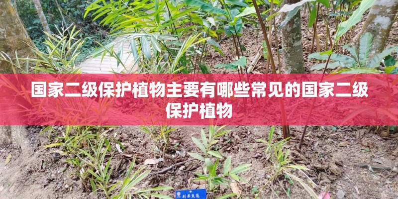 国家二级保护植物主要有哪些常见的国家二级保护植物 国家二级保护植物主要有哪些常见的国家二级保护植物