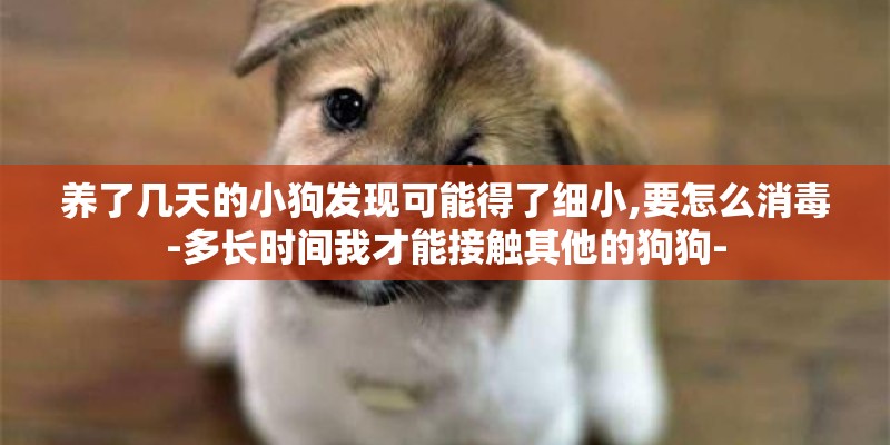 养了几天的小狗发现可能得了细小,要怎么消毒-多长时间我才能接触其他的狗狗-