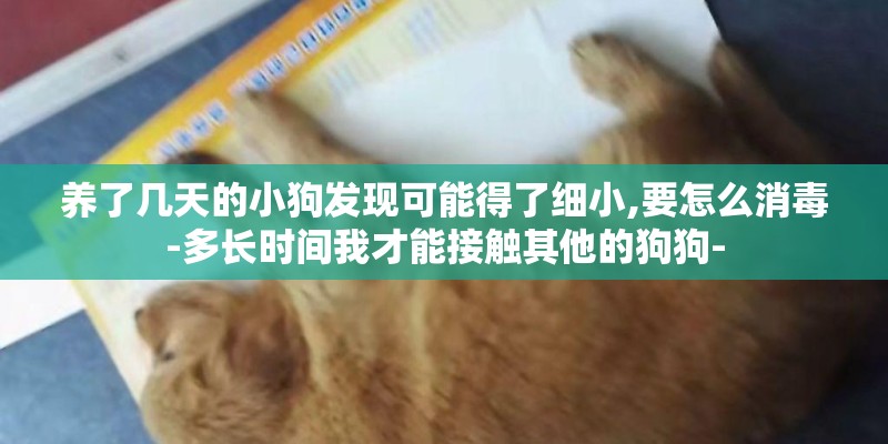 养了几天的小狗发现可能得了细小,要怎么消毒-多长时间我才能接触其他的狗狗-