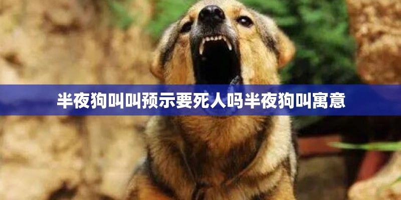 半夜狗叫叫预示要死人吗半夜狗叫寓意