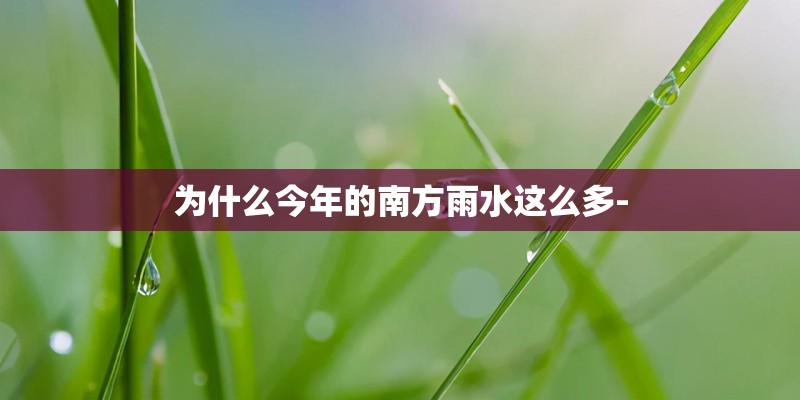 为什么今年的南方雨水这么多- 为什么今年的南方雨水这么多-