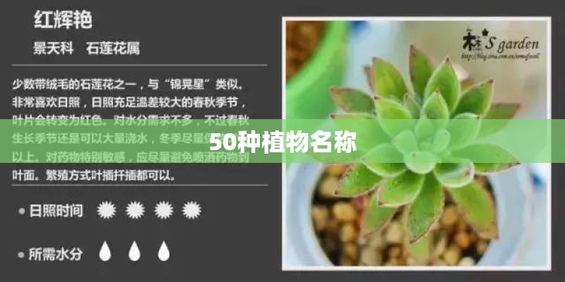 50种植物名称