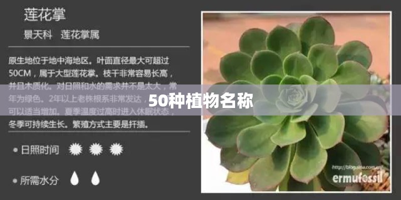 50种植物名称