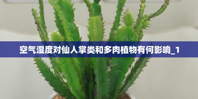 空气湿度对仙人掌类和多肉植物有何影响_1