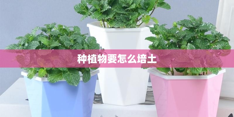 种植物要怎么培土