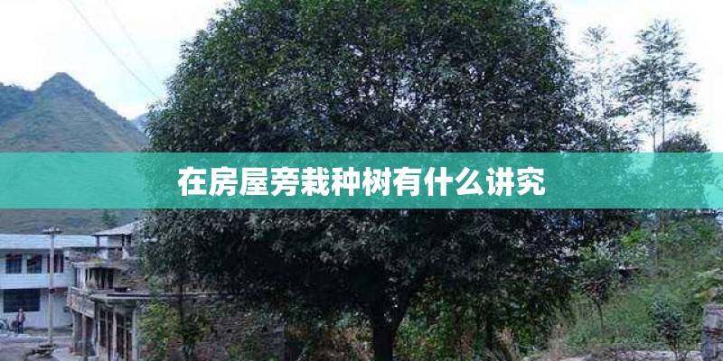 在房屋旁栽种树有什么讲究