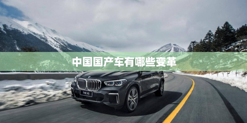 狗为什么喜欢刨垫子