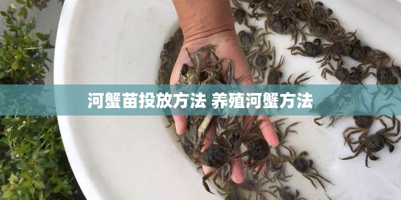 河蟹苗投放方法 养殖河蟹方法