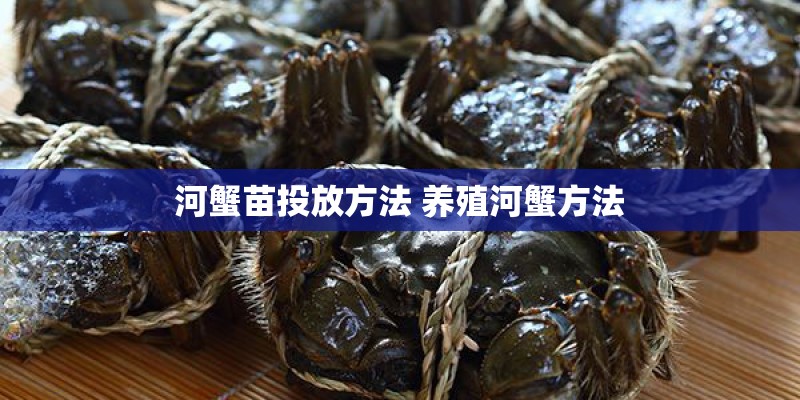河蟹苗投放方法 养殖河蟹方法
