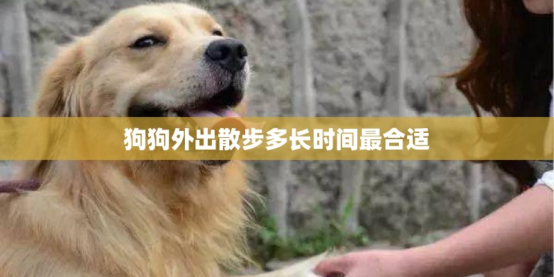 狗为什么喜欢刨垫子