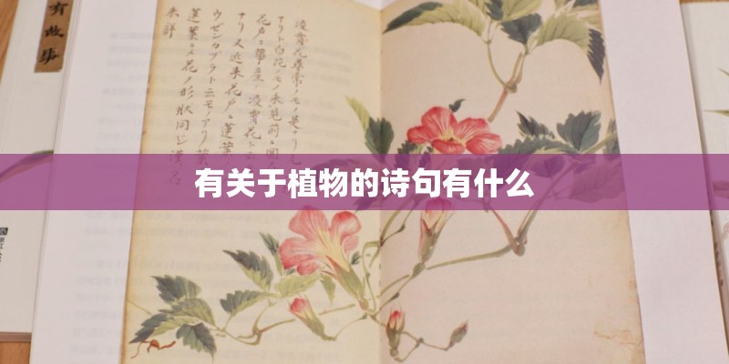 有关于植物的诗句有什么