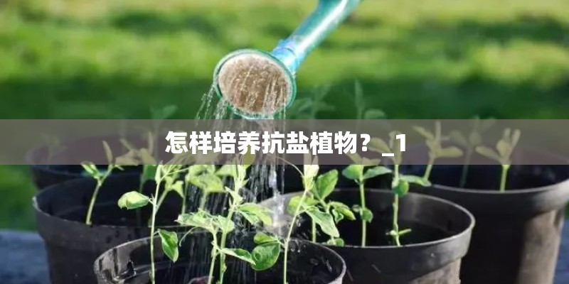 怎样培养抗盐植物？_1