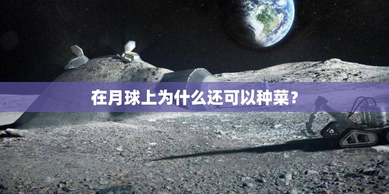 在月球上为什么还可以种菜？