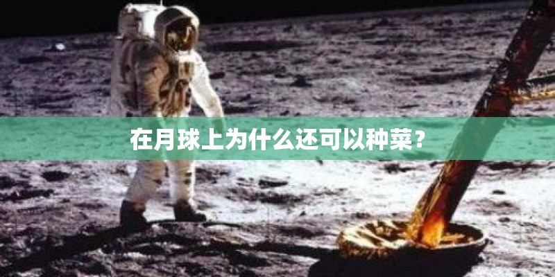 在月球上为什么还可以种菜？