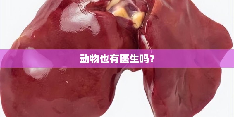 动物也有医生吗？