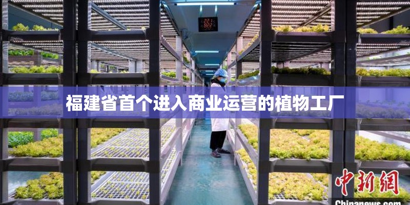 福建省首个进入商业运营的植物工厂