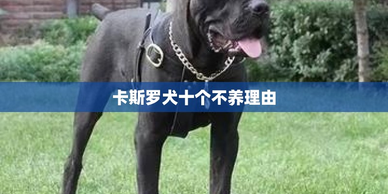作物调查报告