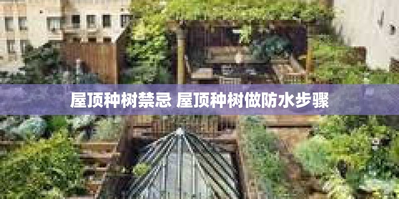 屋顶种树禁忌 屋顶种树做防水步骤