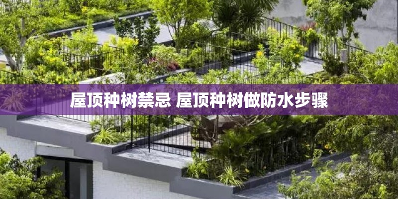 杉树有哪些种类？