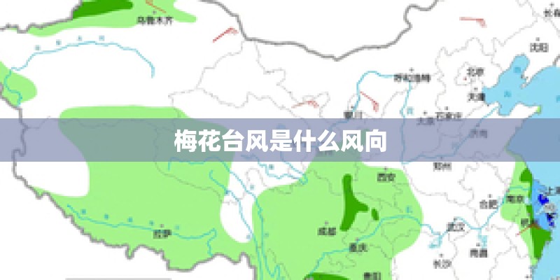梅花台风是什么风向