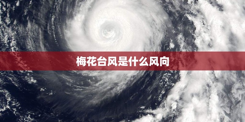 为什么我的电脑开机速度越来越慢了？_1
