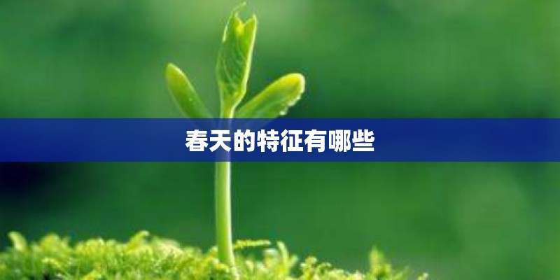 春天的特征有哪些