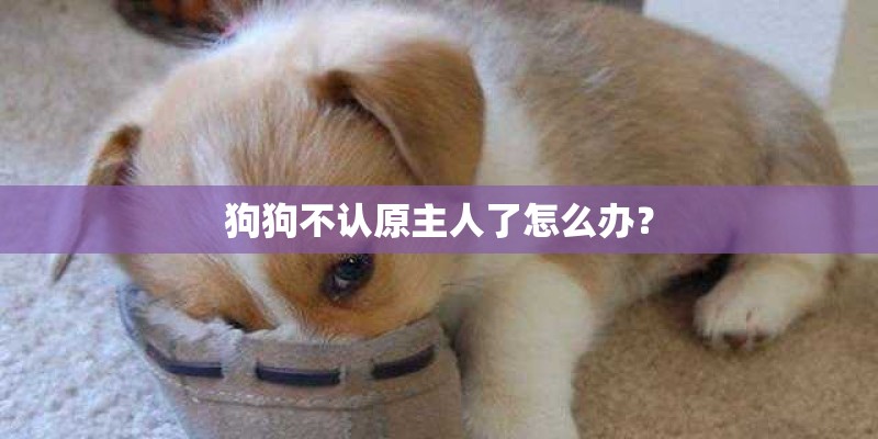 为什么我的电脑开机速度越来越慢了？_1
