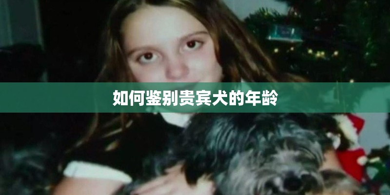 如何鉴别贵宾犬的年龄