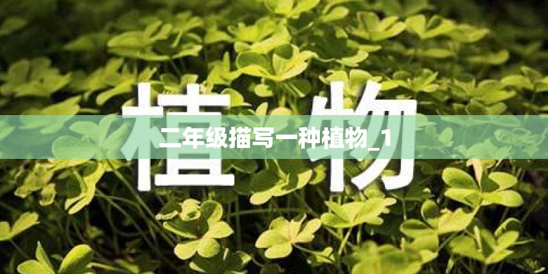 二年级描写一种植物_1