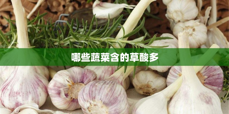 哪些蔬菜含的草酸多