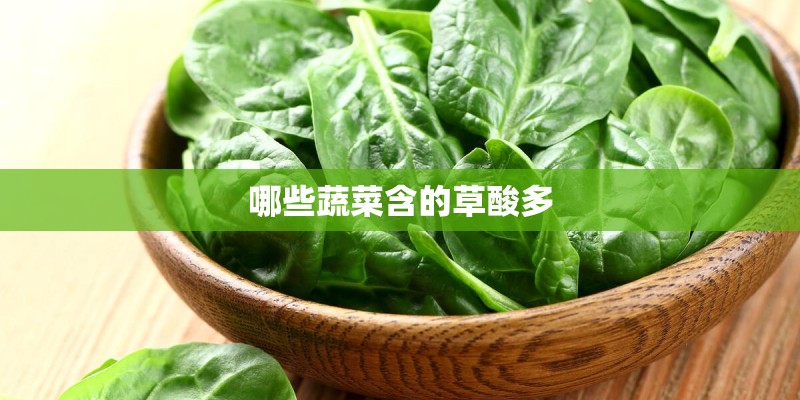 哪些蔬菜含的草酸多