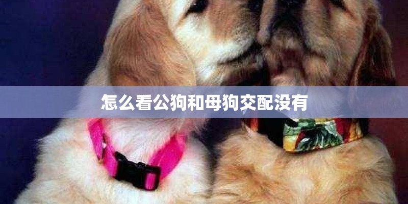 农村水田除了种稻谷还能种什么植物比较好收成呢？