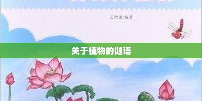 关于植物的谜语