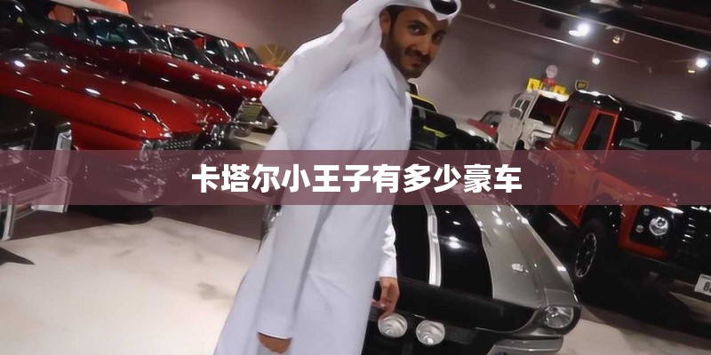 卡塔尔小王子有多少豪车