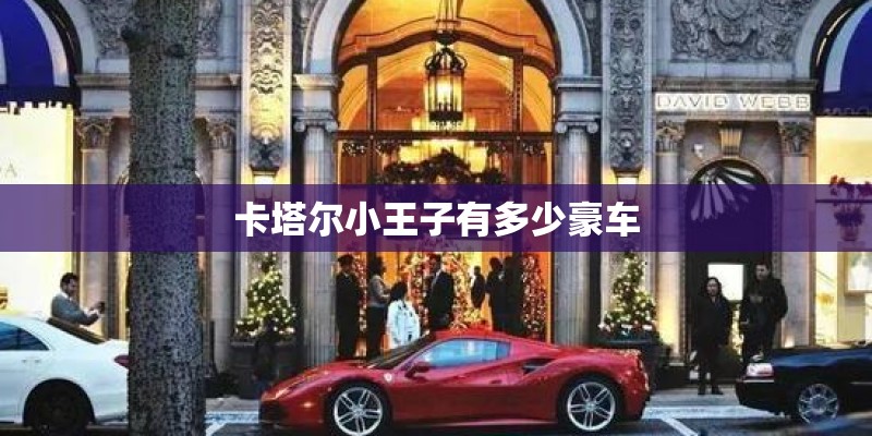 卡塔尔小王子有多少豪车