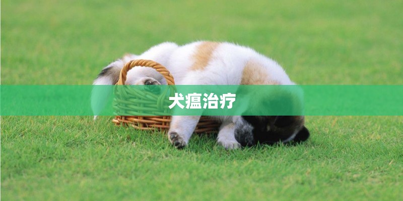 犬瘟治疗