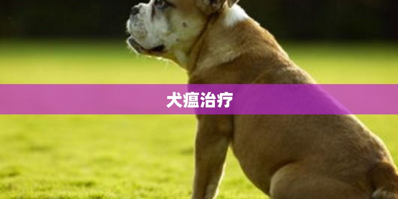 犬瘟治疗