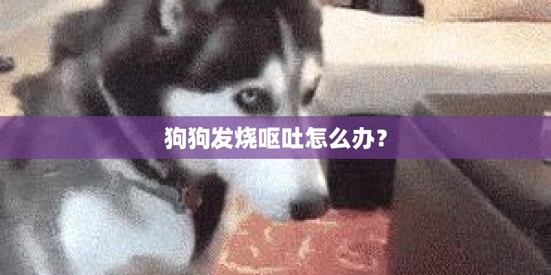 狗狗发烧呕吐怎么办? 狗狗发烧呕吐怎么办?