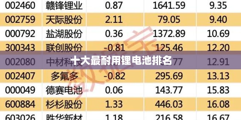 十大最耐用锂电池排名