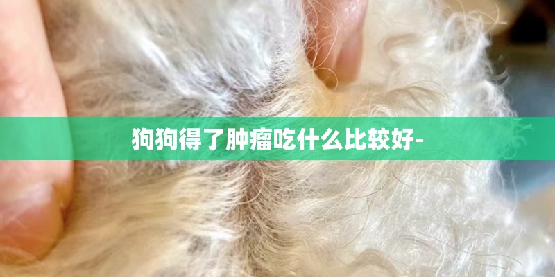狗狗得了肿瘤吃什么比较好- 狗狗得了肿瘤吃什么比较好-