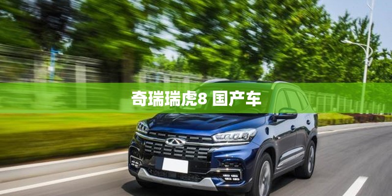 奇瑞瑞虎8 国产车