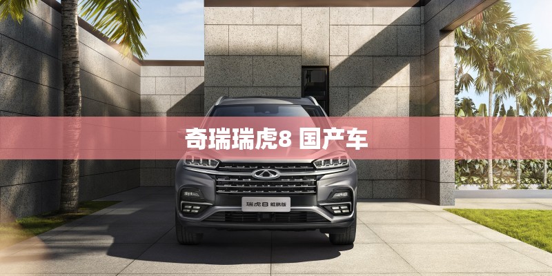 奇瑞瑞虎8 国产车