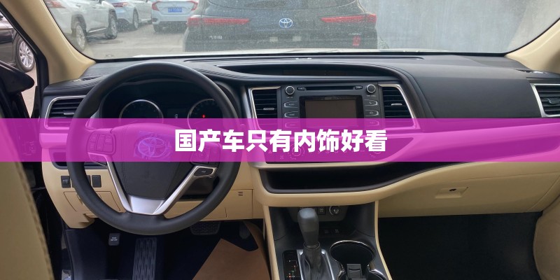 国产车只有内饰好看