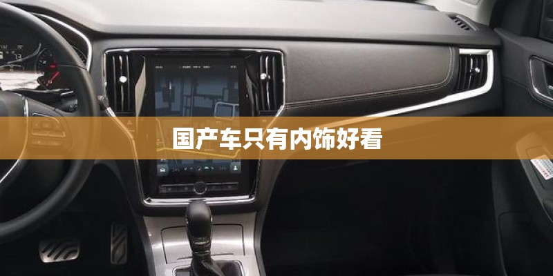 国产车只有内饰好看