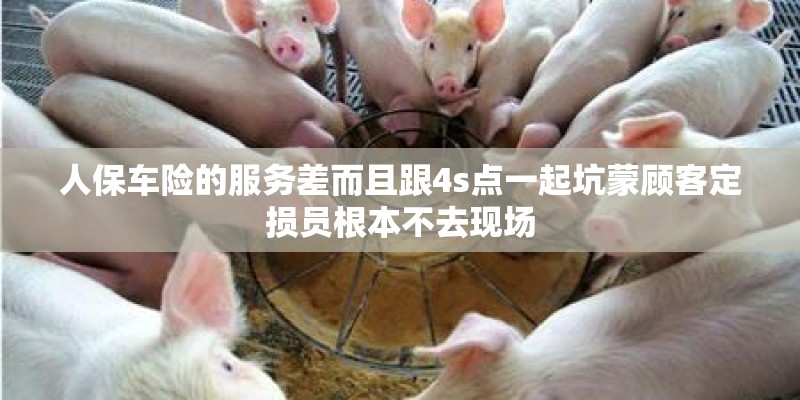 人保车险的服务差而且跟4s点一起坑蒙顾客定损员根本不去现场 人保车险的服务差而且跟4s点一起坑蒙顾客定损员根本不去现场