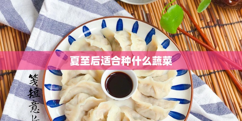 夏至后适合种什么蔬菜