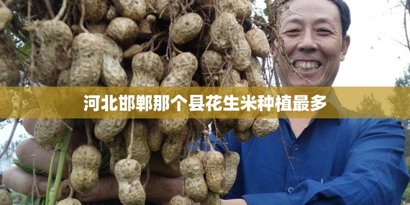 河北邯郸那个县花生米种植最多